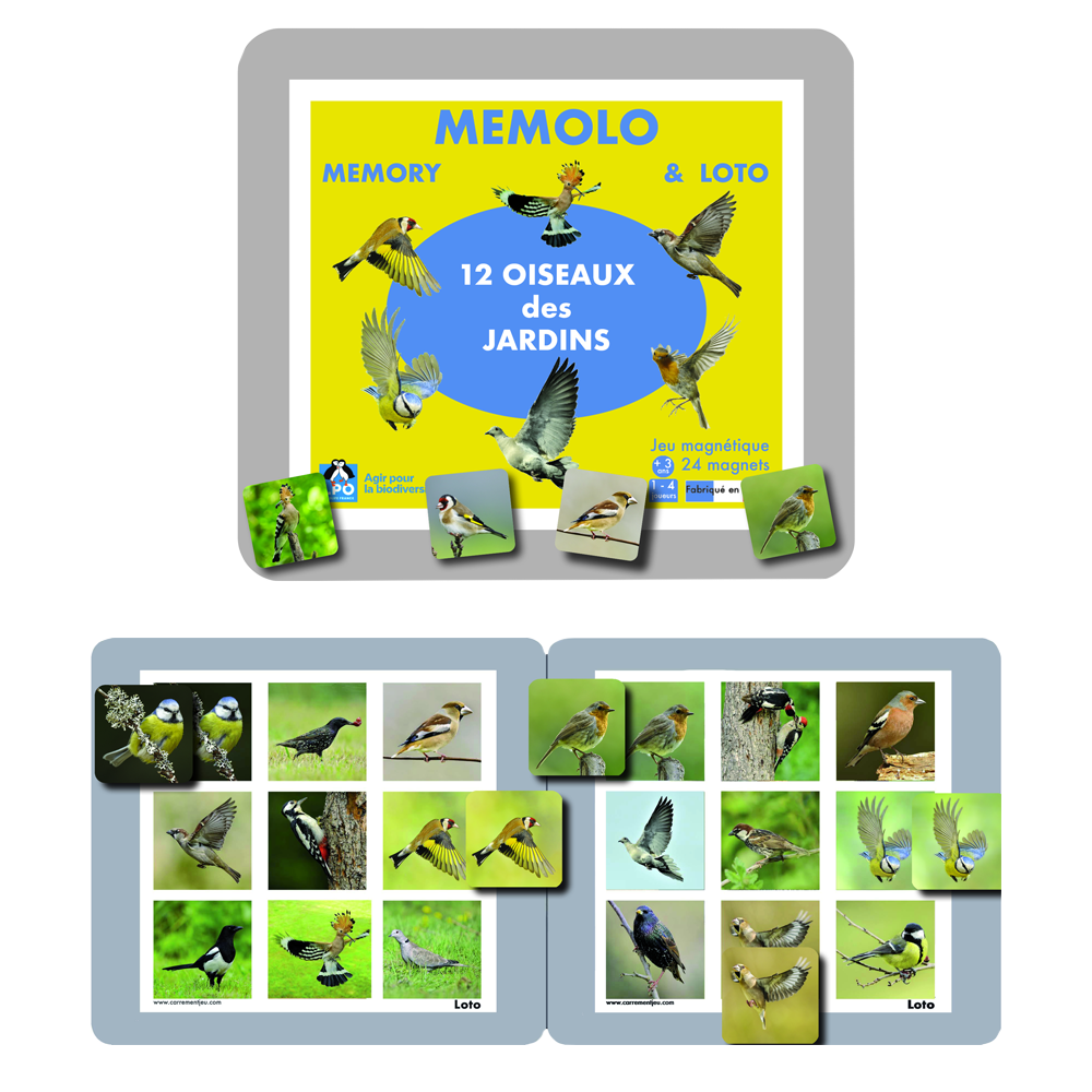 Memolo XL 12 oiseaux des jardins